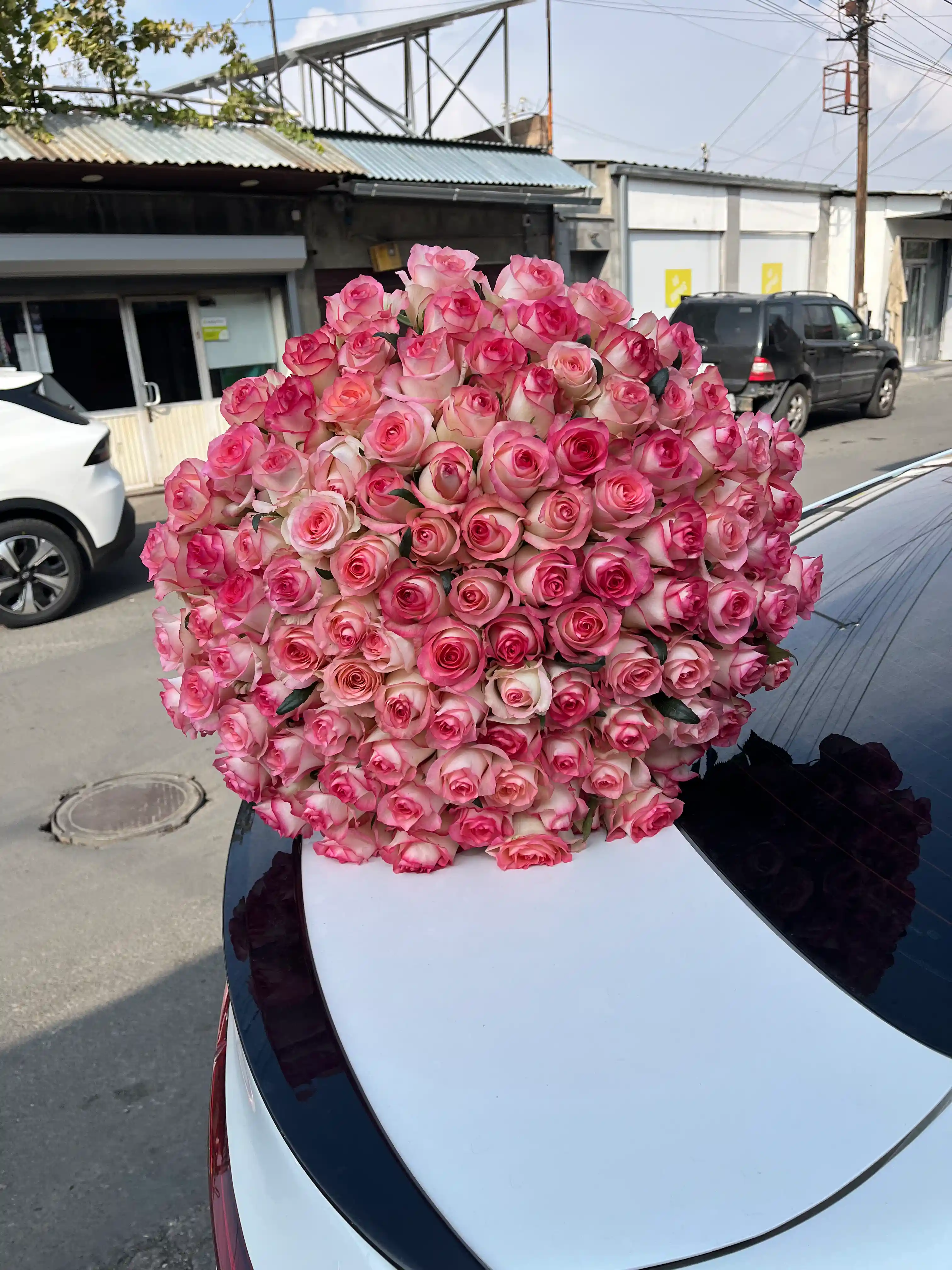 Ջումիլիա Վարդեր