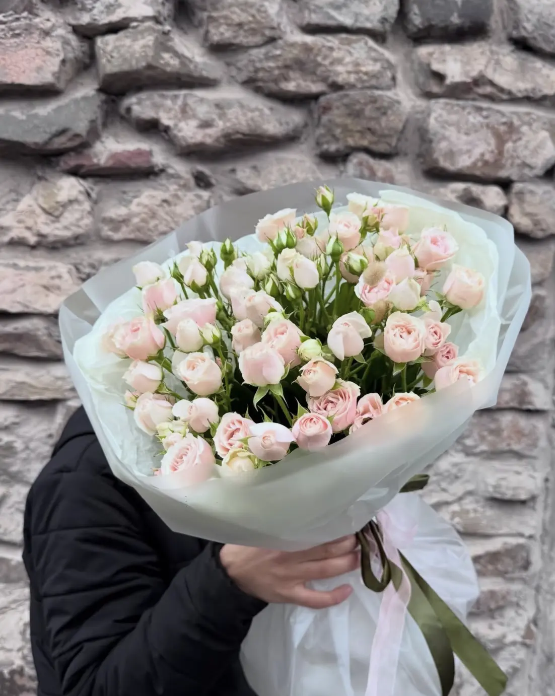 Թփային վարդեր՝ Օդիլիա