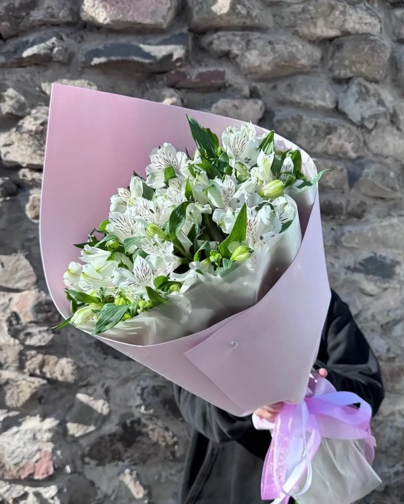 Ձյան սպիտակ հեռավորություններ